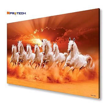 Seven horses with Morning Sun, 7 horses HD phone wallpaper