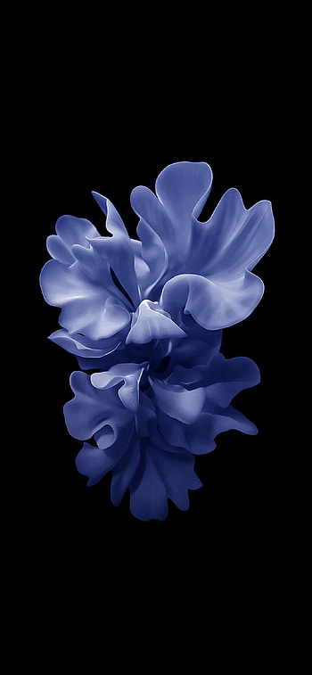Samsung Galaxy Z Flip, samsung galaxy z fold HD phone wallpaper