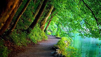 Full Of Nature For Facebook Cover Page Special Pics, beautiful nature with quotes for facebook cover page HD wallpaper