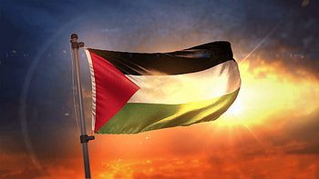 Animation of Palestine country flag Motion Backgrounds, background palestine flag HD wallpaper