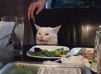 Woman Yelling at a Cat meme upscale, sad cat meme HD wallpaper