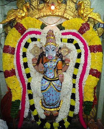 Varahi Amman HD phone wallpaper