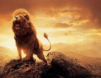 Angry Lion on Get, roaring lion HD wallpaper