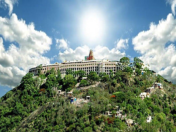 Palani Murugan Temple HD wallpaper