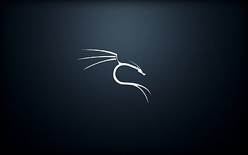 GitHub, kali linux HD wallpaper