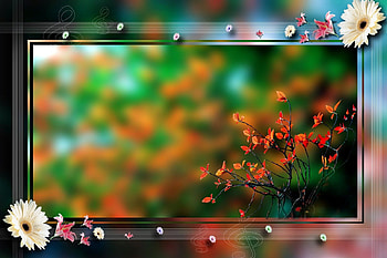 Marriage Album Psd 12x18, album wedding HD wallpaper