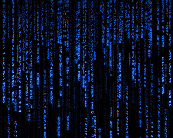 Matrix Gif Group 1920×1080 Matrix Gif HD wallpaper