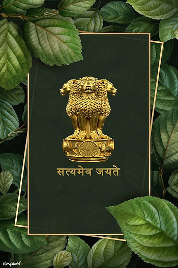 ASHOK STAMBH HD phone wallpaper