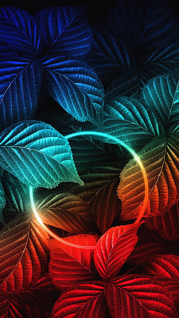 Nature Neon HD phone wallpaper