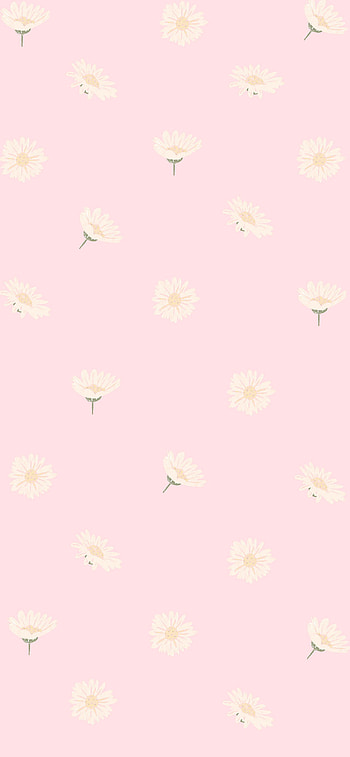 35 Pink Aesthetic : Daisy on Pink, pastel pink aesthetic ipad HD phone wallpaper