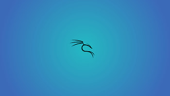 Kali 2019.4 new themes, kali linux android HD wallpaper