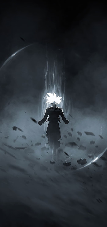 Goku Anime is [1080x2280] for your , Mobile & Tablet, anime dark HD phone wallpaper