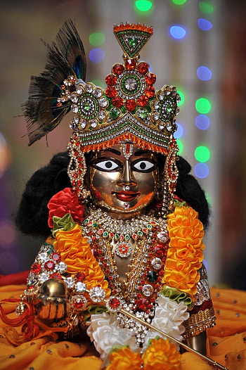 Laddu gopal, gopal mobile HD phone wallpaper