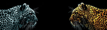 3840x1080 Dual Monitor HD wallpaper