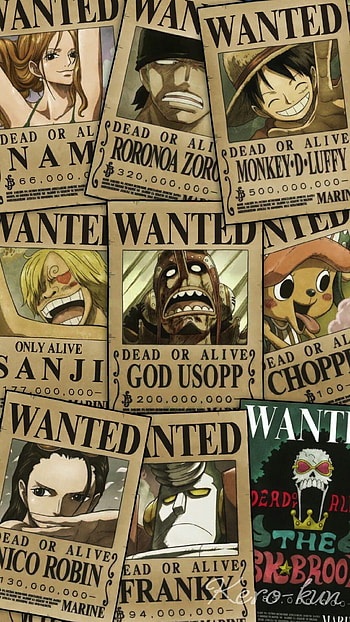 Straw Hat Pirates New Bounty, bounty one piece HD phone wallpaper