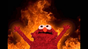 Related, elmo memes HD wallpaper