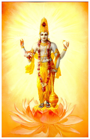 Shri Vishnu HD phone wallpaper