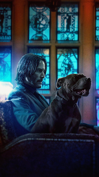 John Wick: Chapter 3 – Parabellum, john wick chapter three 2019 HD phone wallpaper