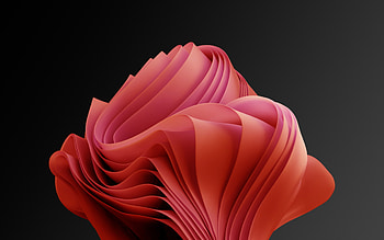 Windows 11 Multi Color, windows 11 red HD wallpaper