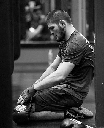 85 Best Khabib, khabib mobile HD phone wallpaper