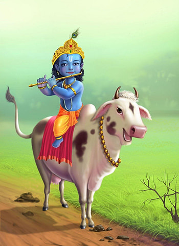 Little Radha Krishna . tips to dress your babies kids in, little krishna HD phone wallpaper