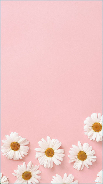 Pastel Pink Tumblr ...anupghosal, aesthetic pastel pink HD phone wallpaper