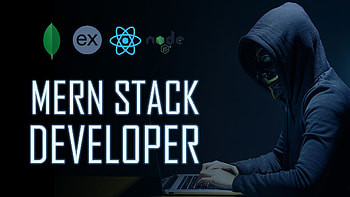 Be your awesome mern stack developer by Nishant08111 HD wallpaper
