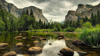 Nature Cool For Laptop, nature for laptop HD wallpaper