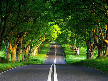 Natural View, windows nature HD wallpaper