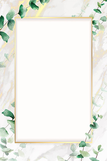 premium vector of Hand drawn eucalyptus leaf with rectangle gold frame template vector by Adjima about eucalyptus, greenery gold frame, greenery frame,…, gold border HD phone wallpaper