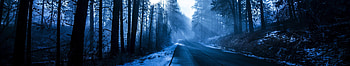 Triple Screen 5760, triple monitor christmas HD wallpaper