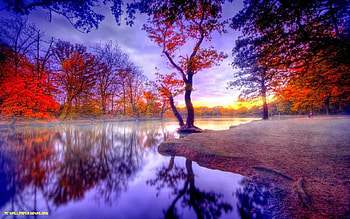 Full Nature For Laptop PC .., nature laptop HD wallpaper
