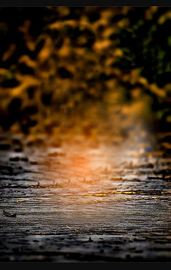 backgrounds pics dslr in 2021, dslr blur HD phone wallpaper