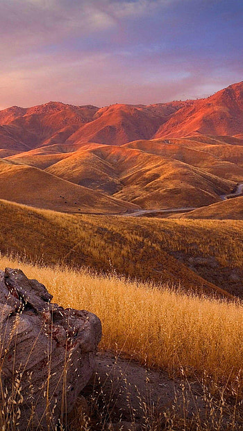 Xiaomi Redmi Note 2 optimized for HD phone wallpaper