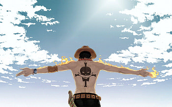 1266 One Piece, one piece luffy and ace HD wallpaper