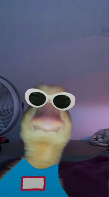 Funny Pfp Pics For Tiktok, tiktok pfp HD phone wallpaper