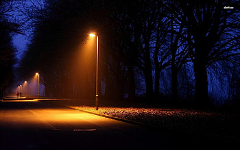Street lamp, streetlight HD wallpaper