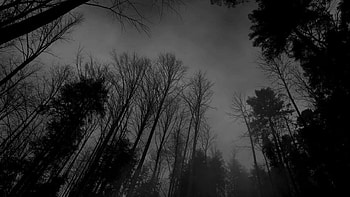 Backgrounds 1920x1080 Black, black aesthetic HD wallpaper