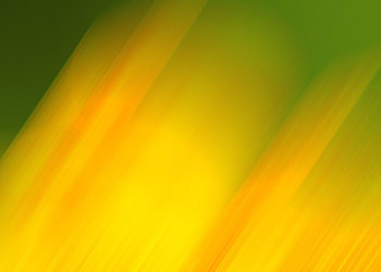 bjp green orange backgrounds 5, background for bjp HD wallpaper