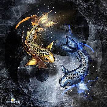 Yin Yang Koi Fish, yin yang fish HD phone wallpaper