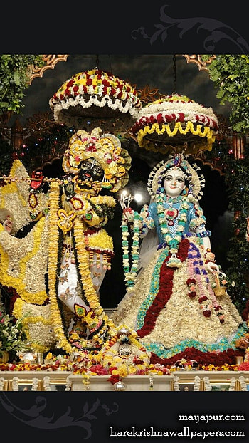 Mayapur Iskcon HD phone wallpaper