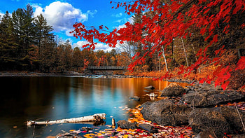 Nature Ultra Windows 10 1920x1080 HD wallpaper