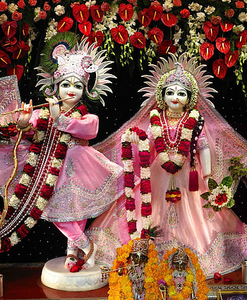 Sri Radha Vrindavan Chandra HD phone wallpaper