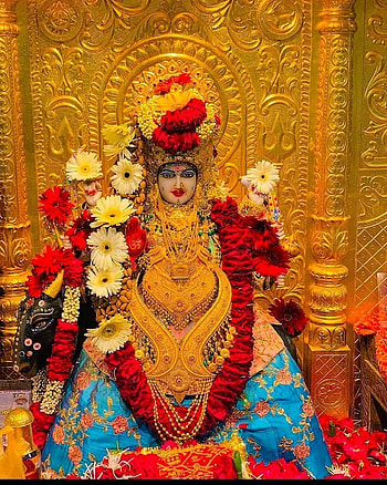 Pin on Meldi maa, meldi maa malataj HD phone wallpaper