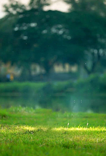 CB Backgrounds For Picsart And hop Stock, cb blur HD phone wallpaper