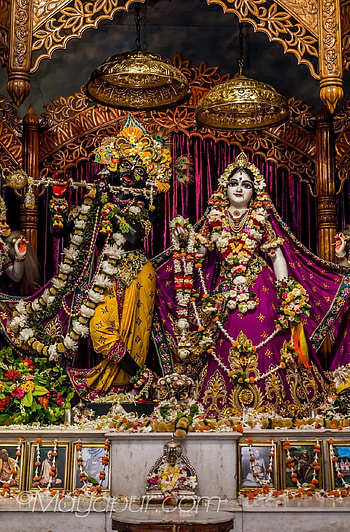 ꧁, mayapur HD phone wallpaper