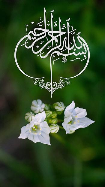 Nature as Islamic for Mobile with Bismillah, mobile full islamic HD phone wallpaper