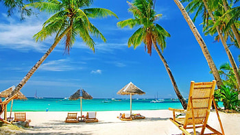 Backgrounds Full Screen 6, full screen backgrounds HD wallpaper