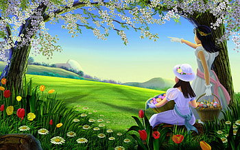 Nature Dp, beautiful dp HD wallpaper