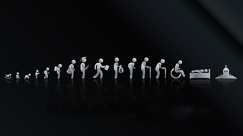 the Human Life Cycle , Human Life Cycle HD wallpaper